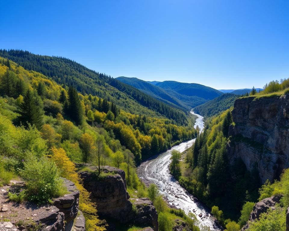 Ardennen: Verken het groene hart van België voor rust en avontuur