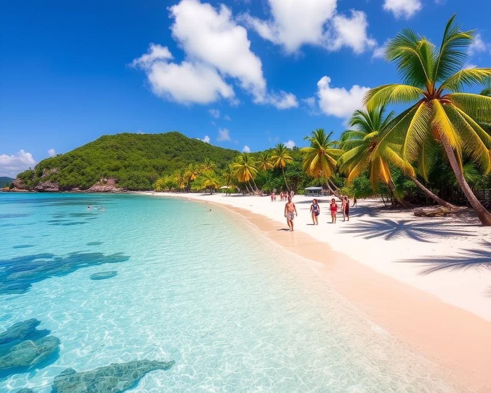 Stranden van de Seychellen: tropisch paradijs met witte stranden en activiteiten.